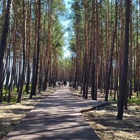 Fregata * Stegna (Pomerania)