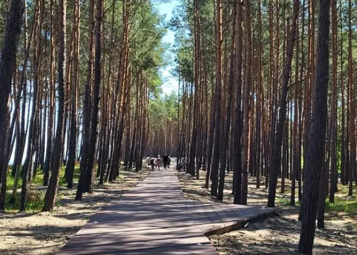 Fregata * Stegna (Pomerania)